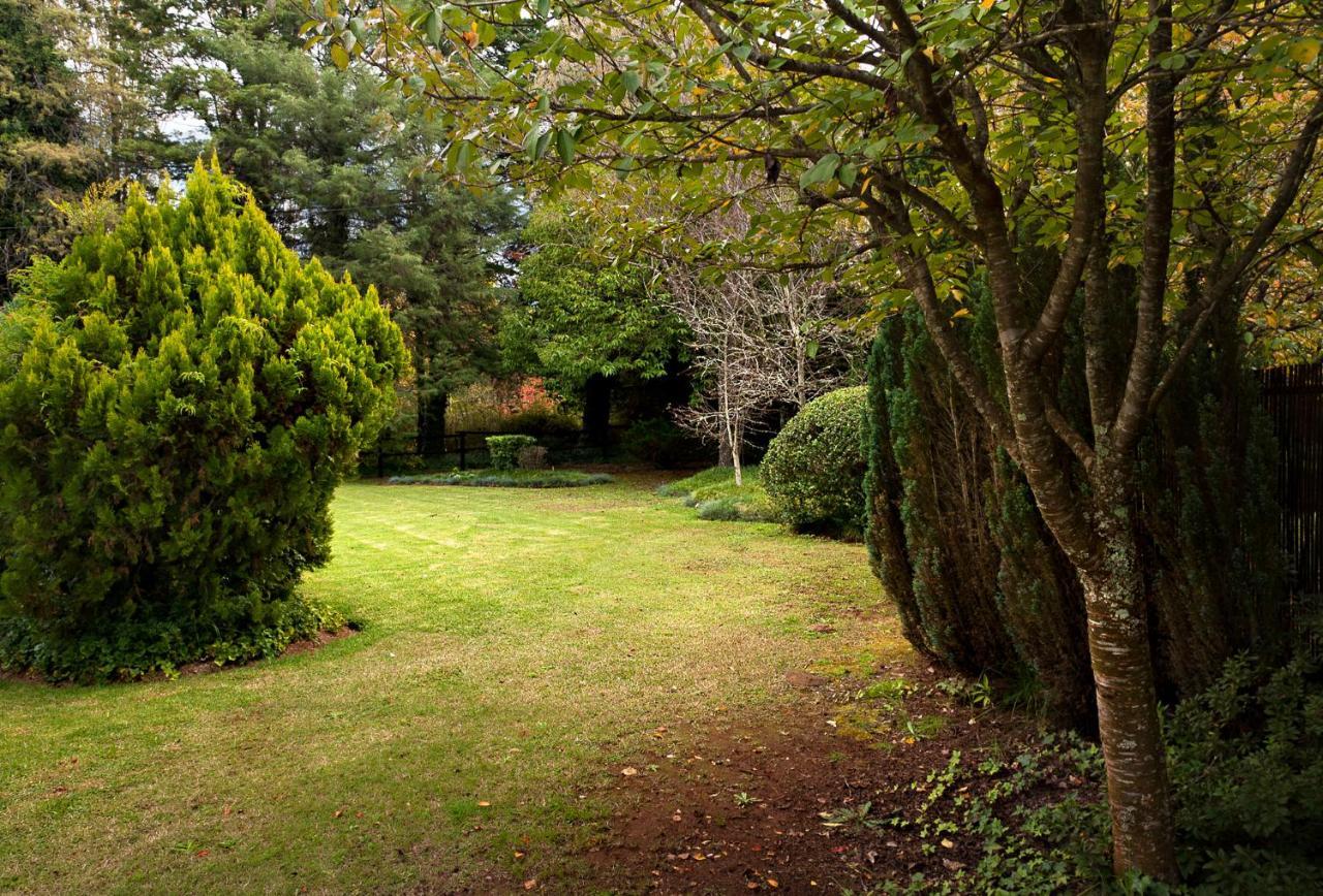 Birches Cottage & The Willows Garden Room 安德伯格 外观 照片