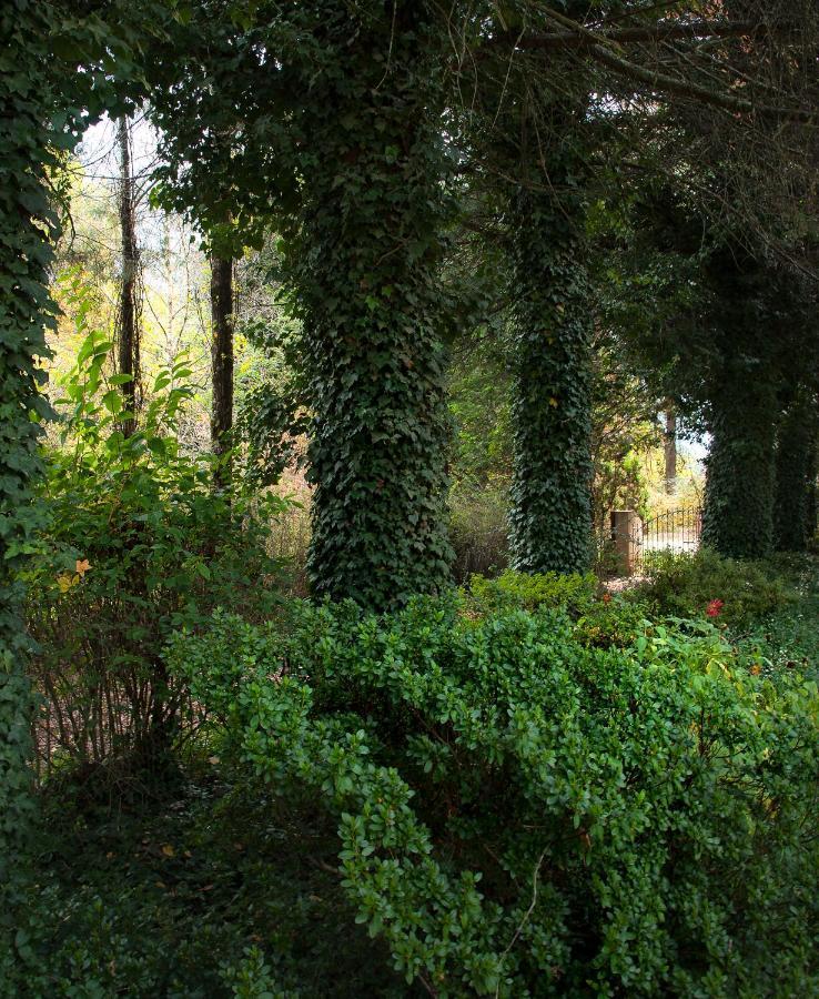 Birches Cottage & The Willows Garden Room 安德伯格 外观 照片